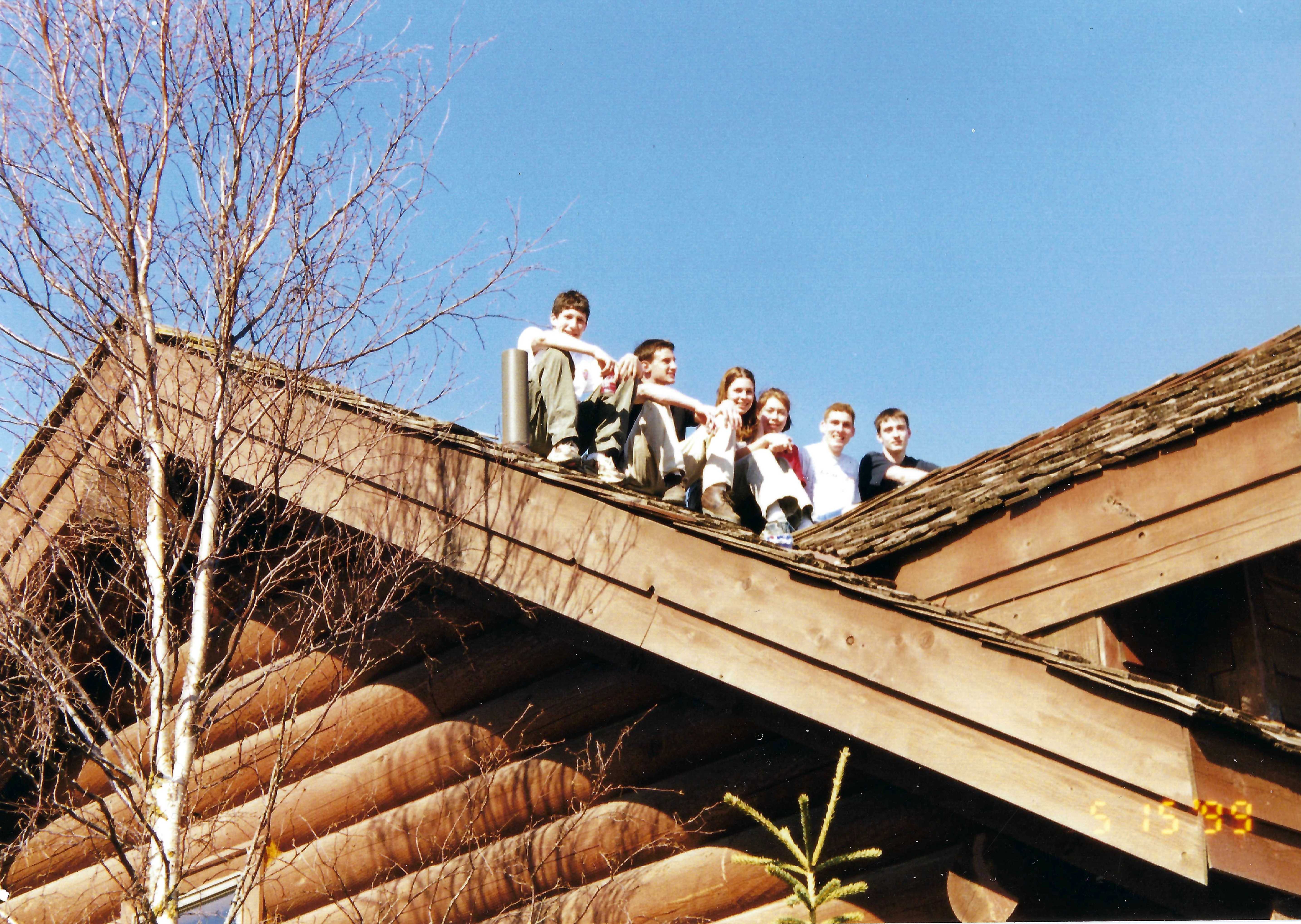 Alligator Acres K Basile 3