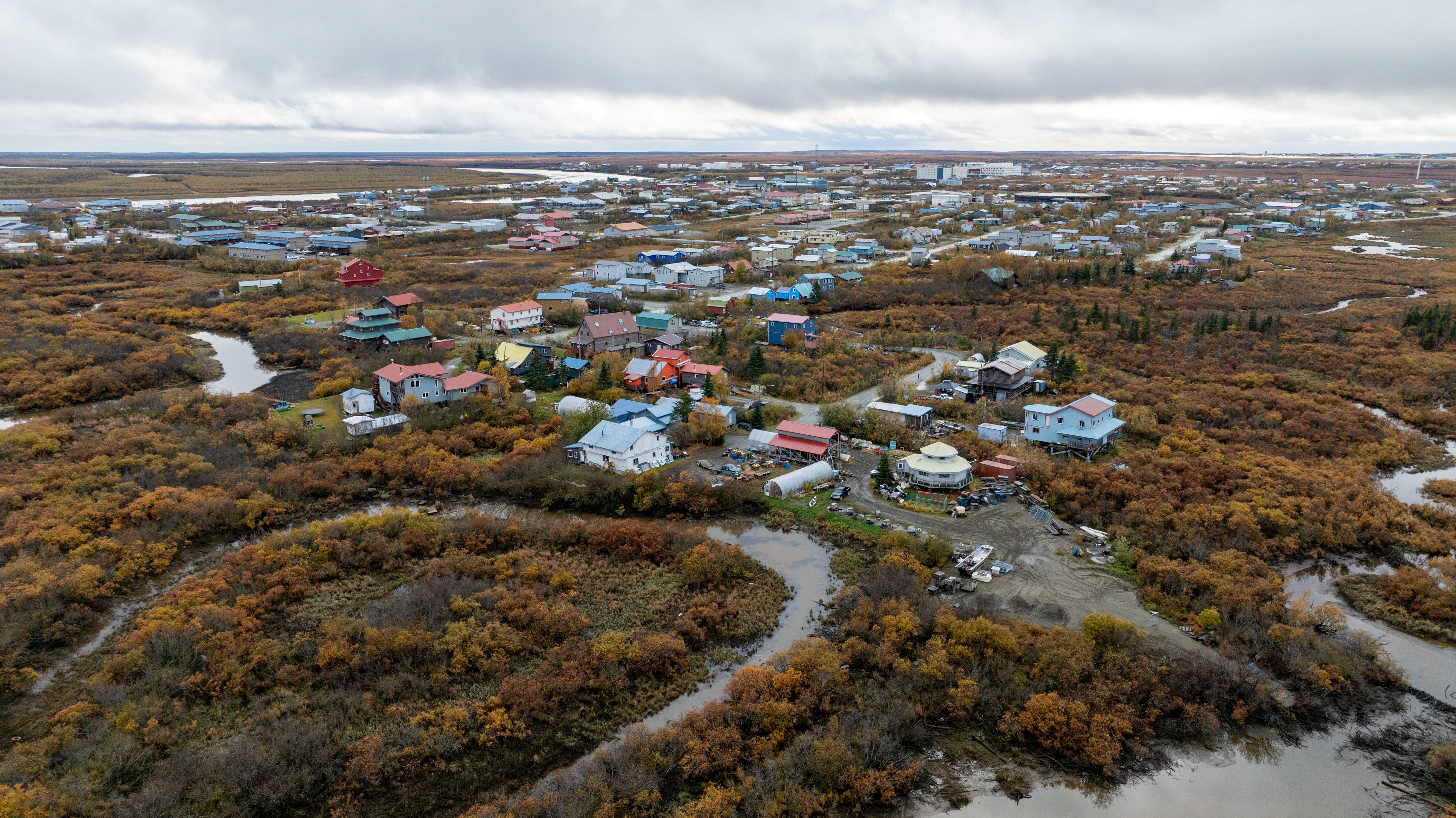 Alligator Acres K Basile 4