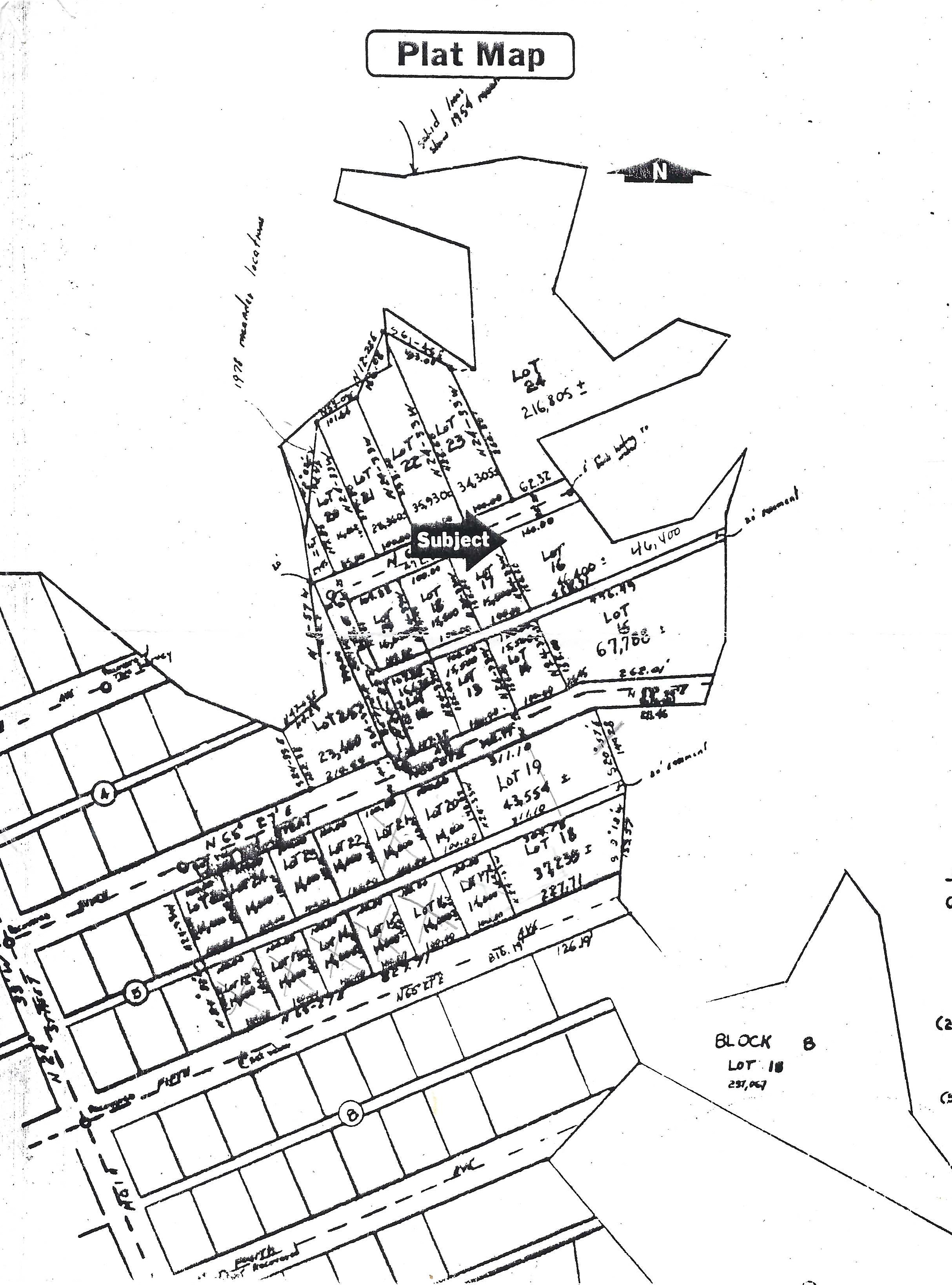 Alligator Acres K Basile 7