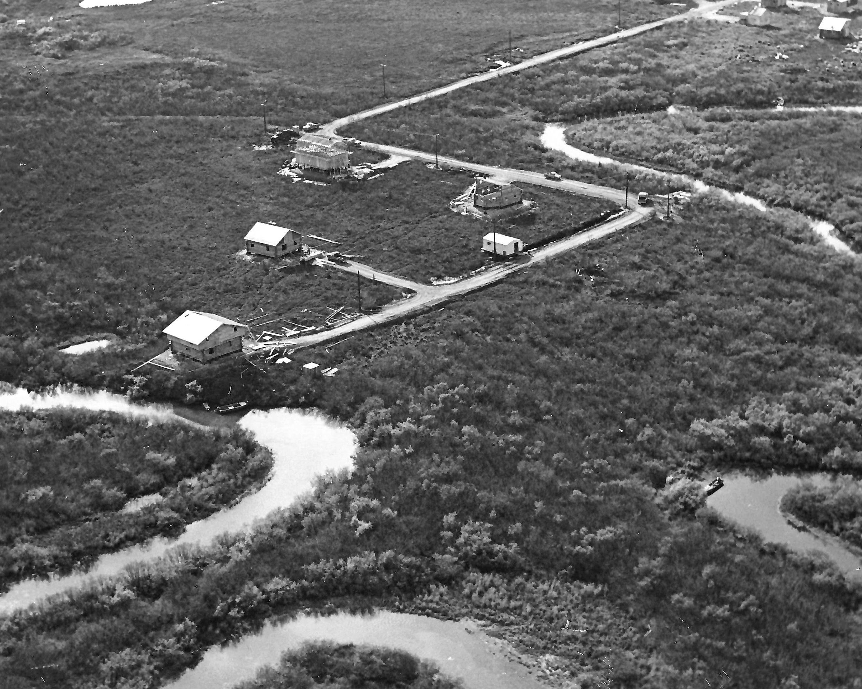 Alligator Acres K Basile 8