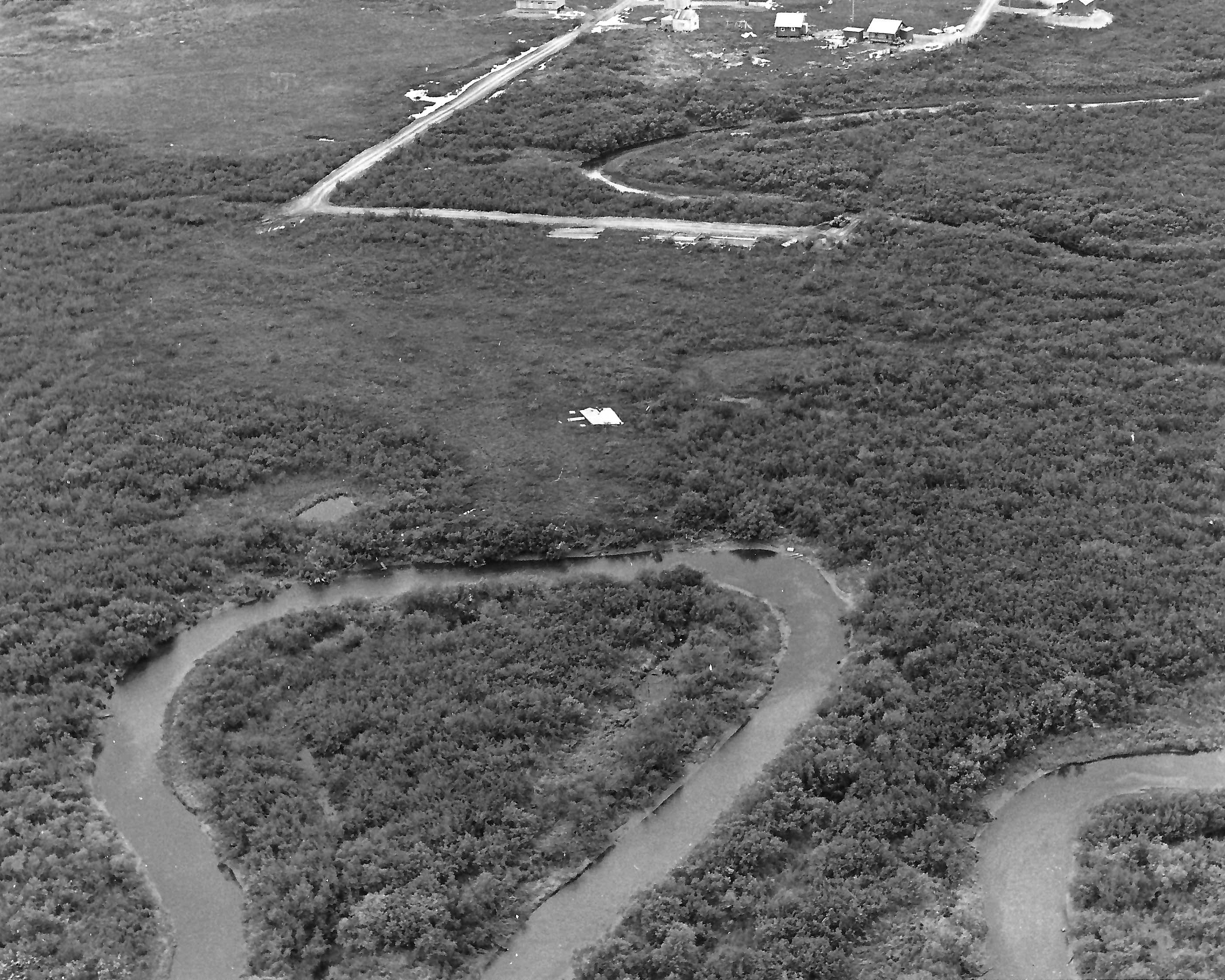 Alligator Acres K Basile 9