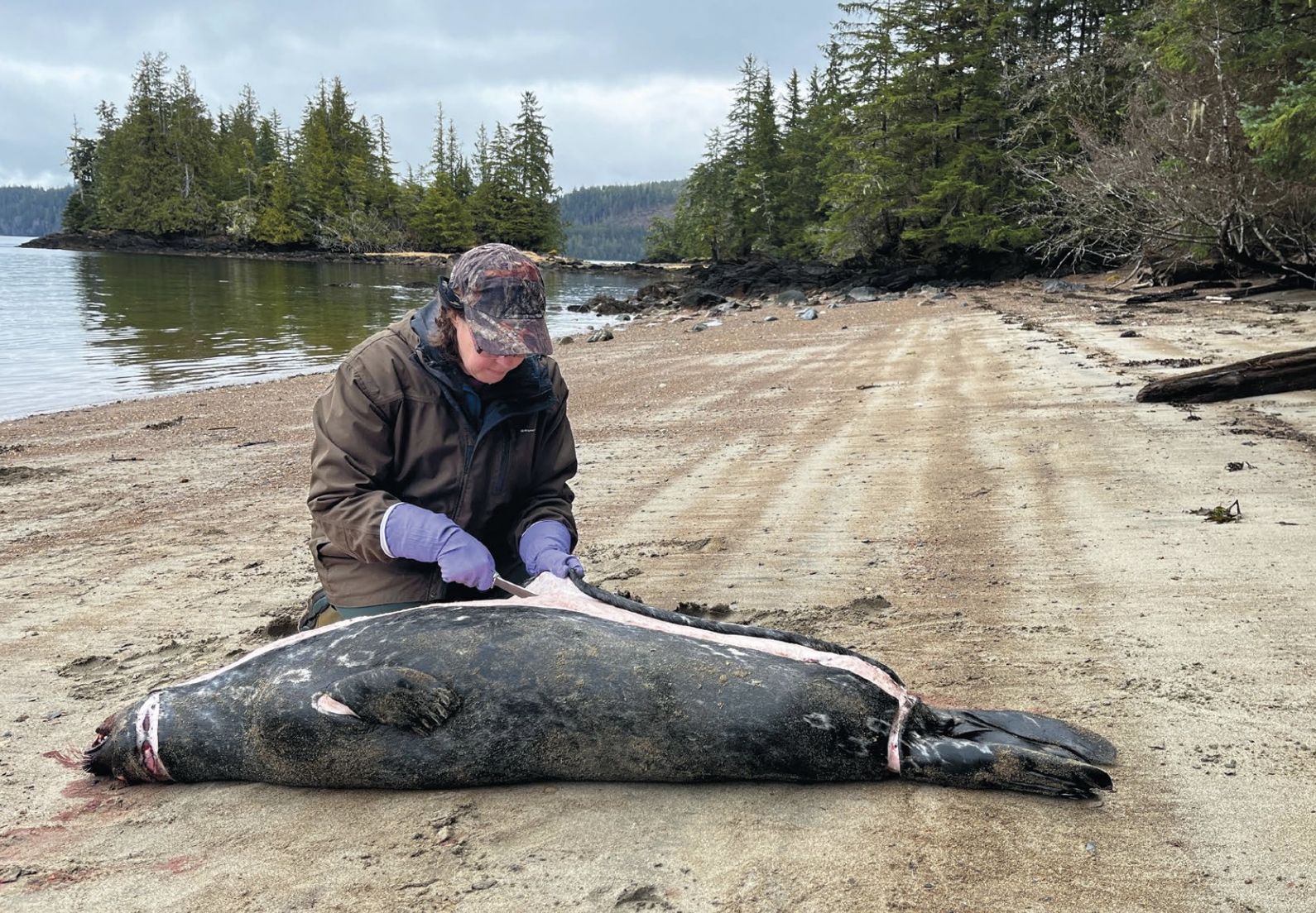 Christy Ruby Seal