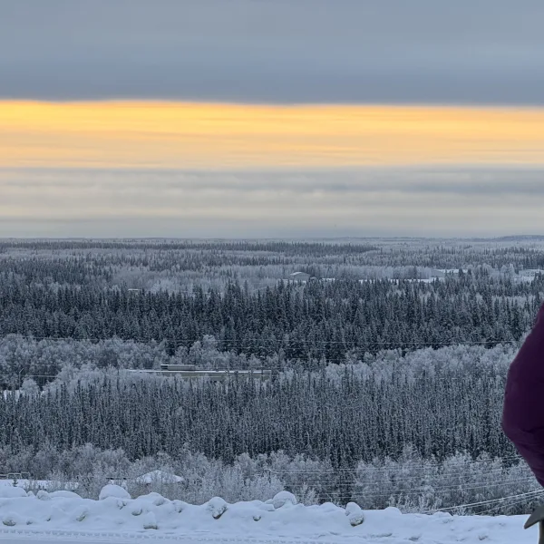Scenes from Lira's first year in Alaska