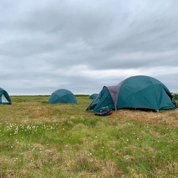C3 2019, Eek Culture Camp